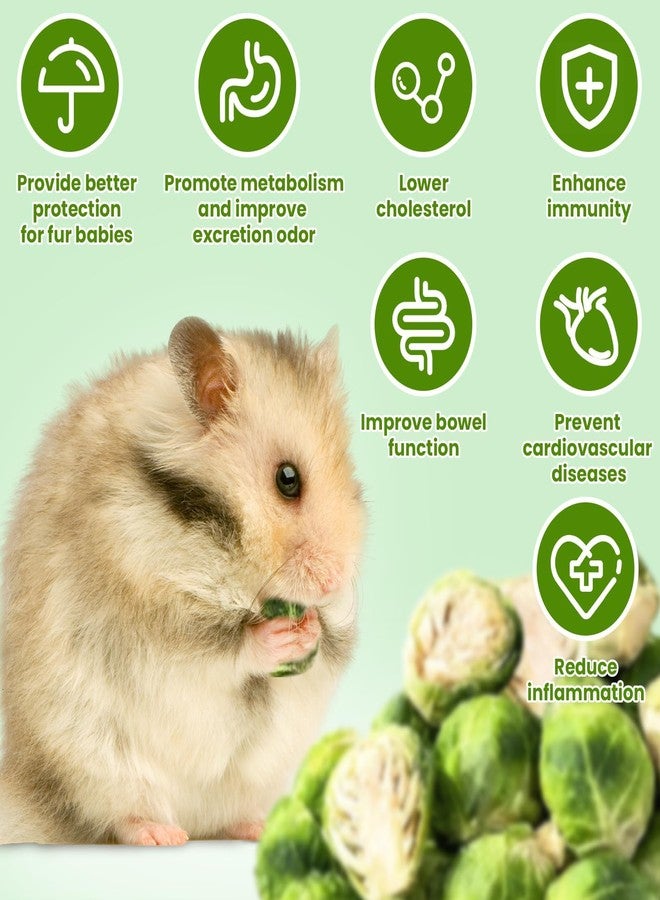 Tyotrbs Freeze Dried Brussels Sprouts Rabbit and Hamster Chew Treats Resealable Jar for Hamsters Bunny Guinea Pigs Groundhogs Natural Fiber Vitamin Snacks (Hamsters, Rabbits, Chinchillas, Guinea Pigs) - Image 5